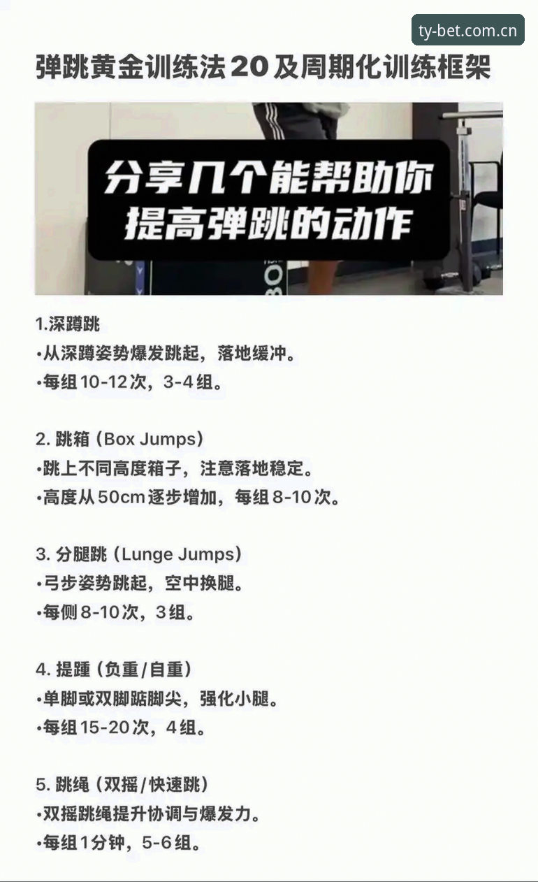 Bet体育安卓版 Bet体育安卓版实用技巧:从注册到投注的完整操作指南